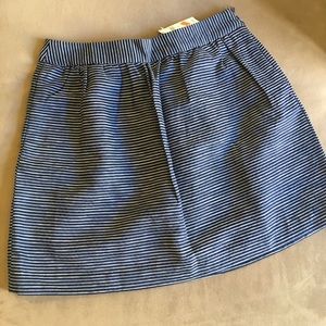 NWT Banana Republic Outlet Striped Skirt Sz6